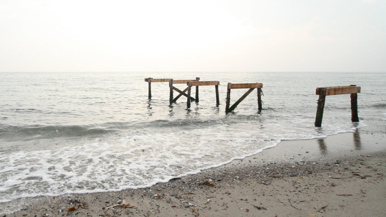 How to Identify Five Types of Fools Institute in Basic Life Principles