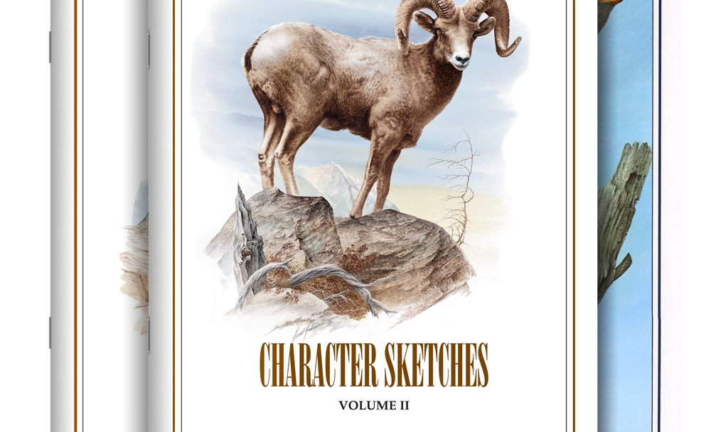 Character Sketches Coloring Book Set