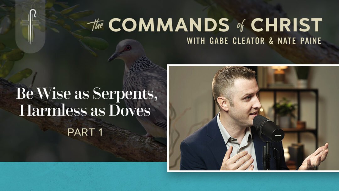 Be Wise as Serpents, Harmless as Doves — Part 1