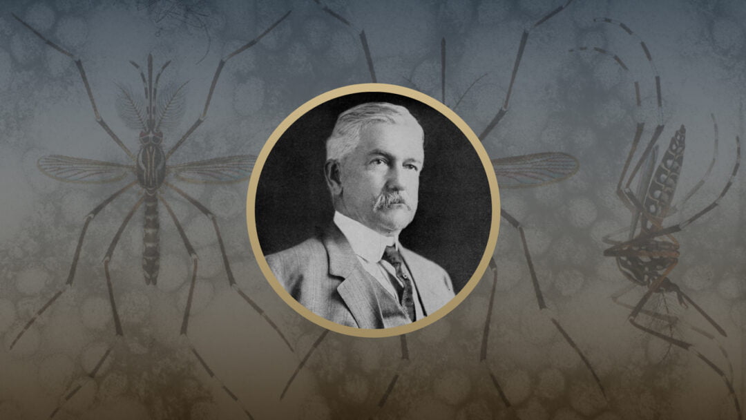 William Crawford Gorgas: Waging War on the Wigglers