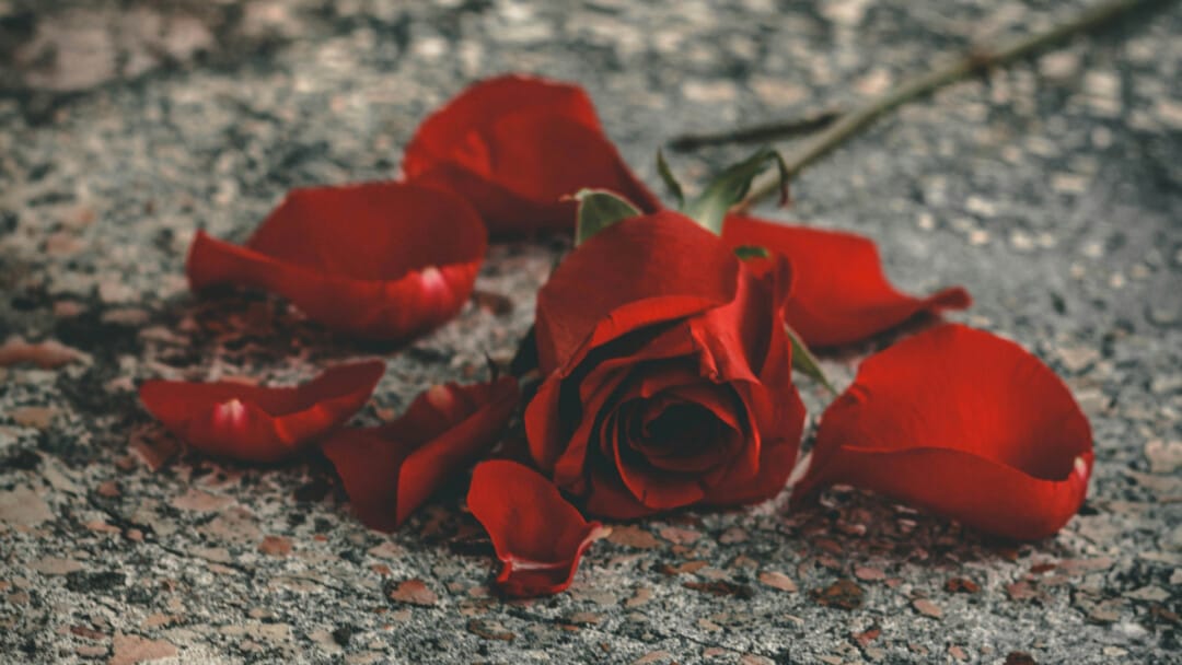 What is the Old Testament Word for Divorce?
