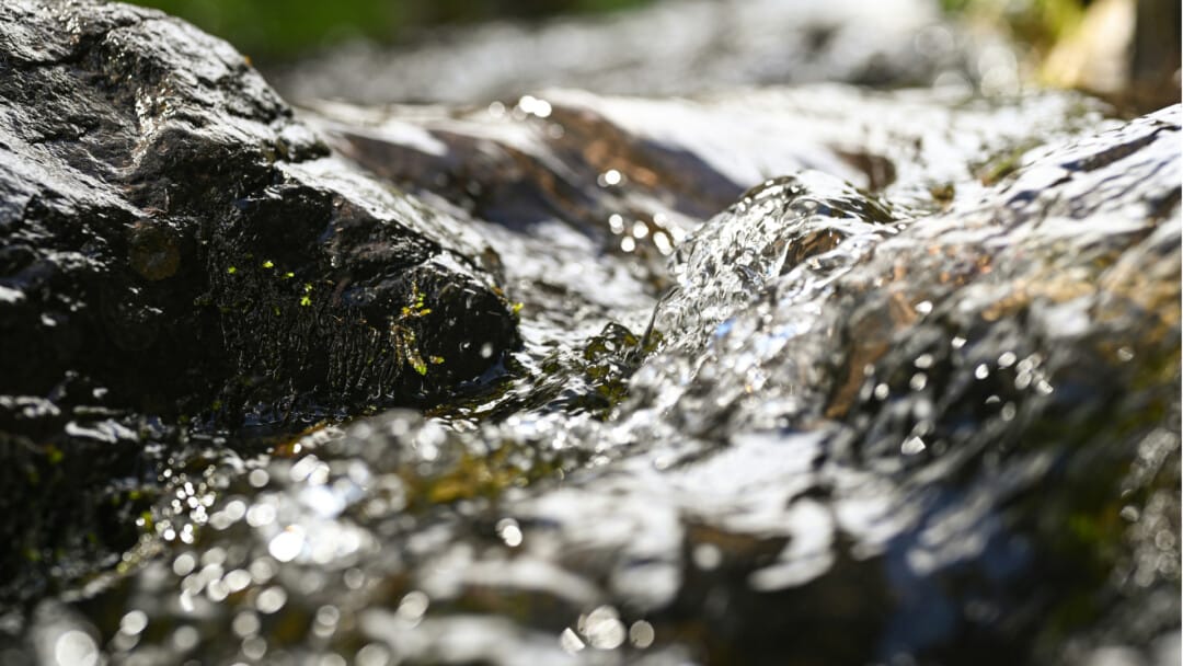 Washing of Water by the Word