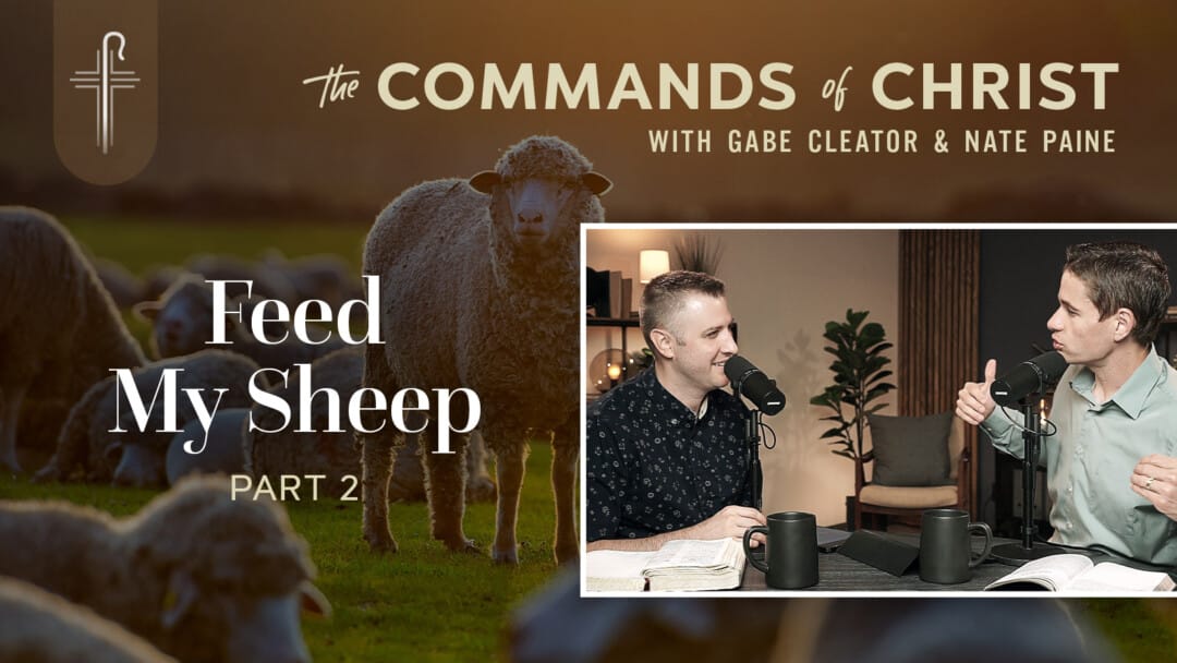 Feed My Sheep: Part 2