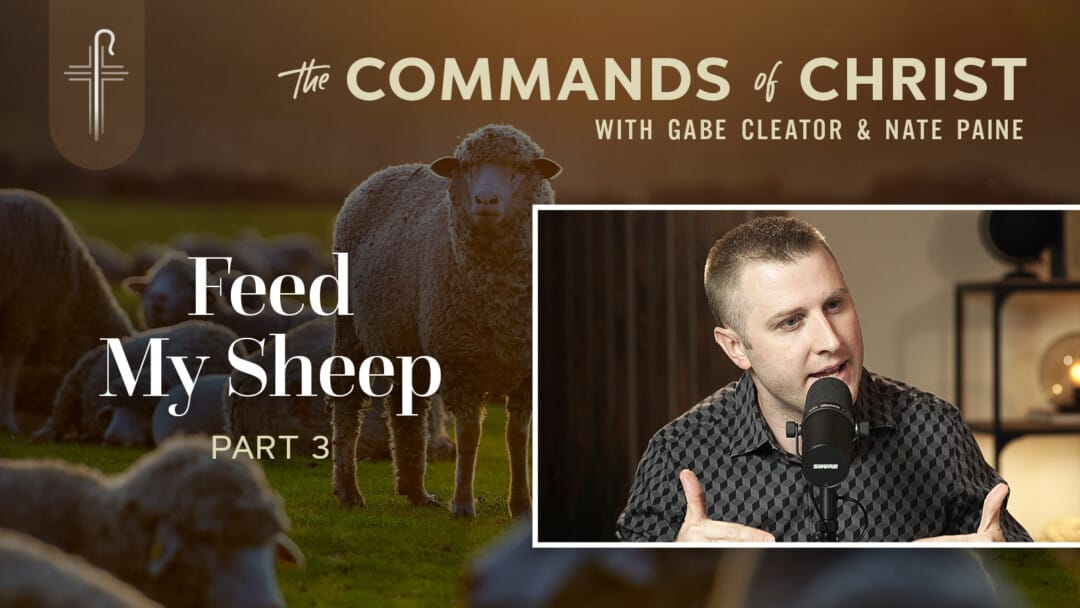 Feed My Sheep: Part 3