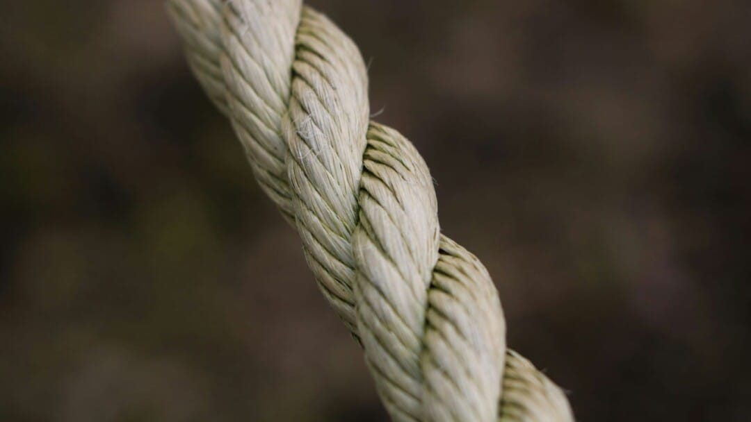 Hymn History: “Trust and Obey” - Institute in Basic Life Principles