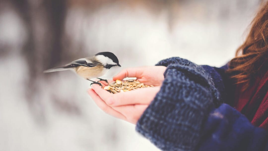 Charity Rejoiceth in the Truth