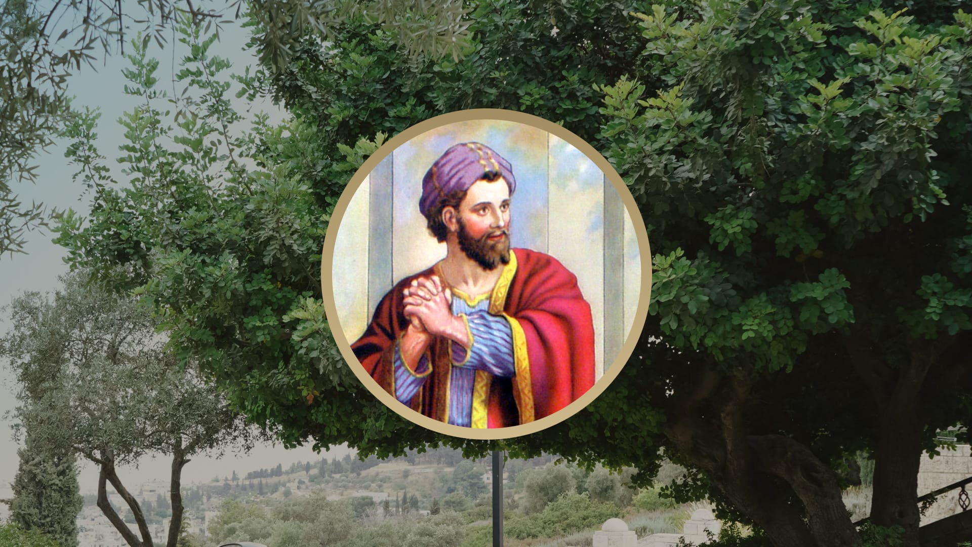 Article Banner 3a Zacchaeus
