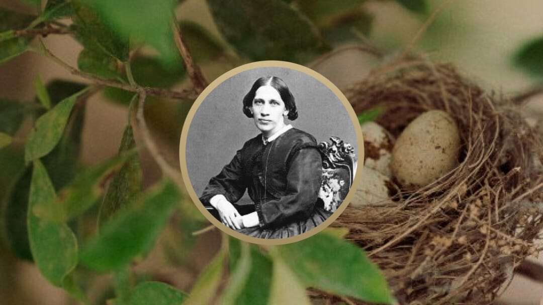 Karolina Sandell-Berg: Learning to Trust God’s Loving Purpose