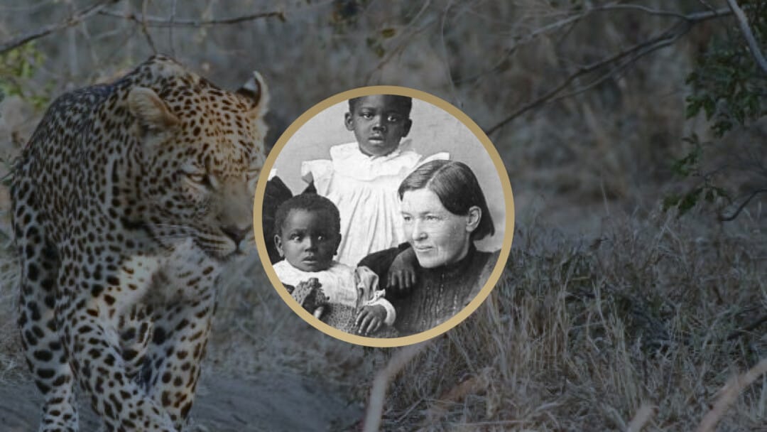 Mary Slessor: Rescuing Babies in Africa