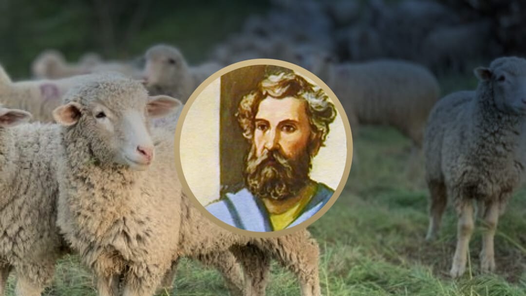 Jude: Earnestly Contending for the Faith